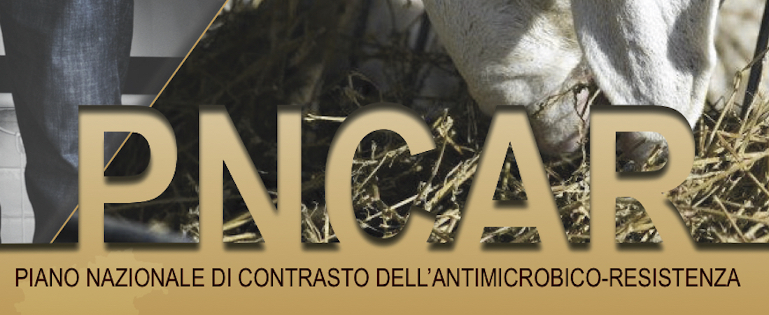 antibioticoresistenza
